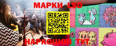 гашик Бердск
