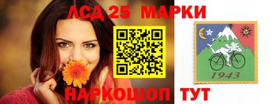гашик Бердск