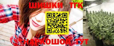 гашик Бердск