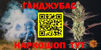 гашик Бердск