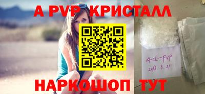 гашик Бердск