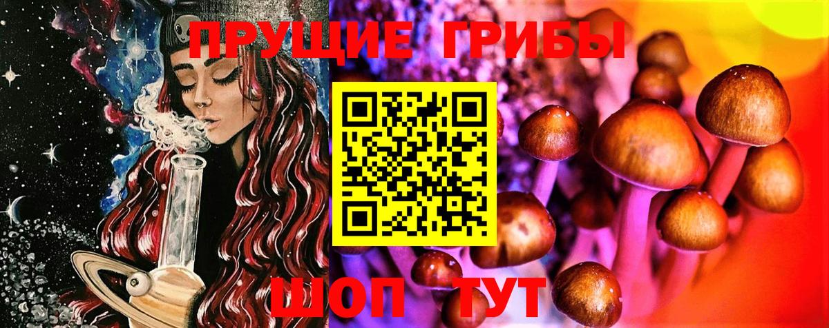 Галлюциногенные грибы MAGIC MUSHROOMS  Вход с VPN  Галлюциногенные грибы Psilocybine cubensis  Красноярск 