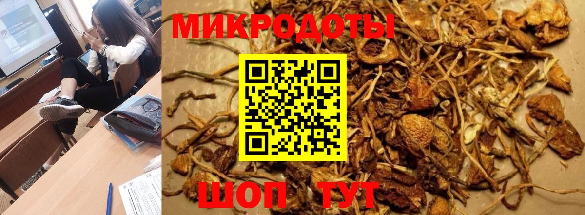 Галлюциногенные грибы мицелий Красноярск