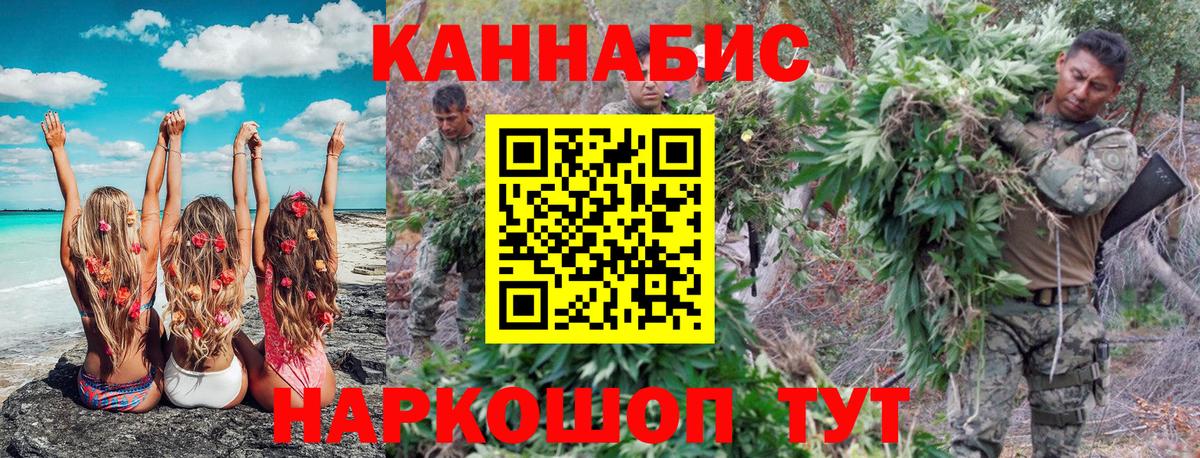 Бошки марихуана план  Вход с VPN  Конопля White Widow  Красноярск  Конопля MAZAR 
